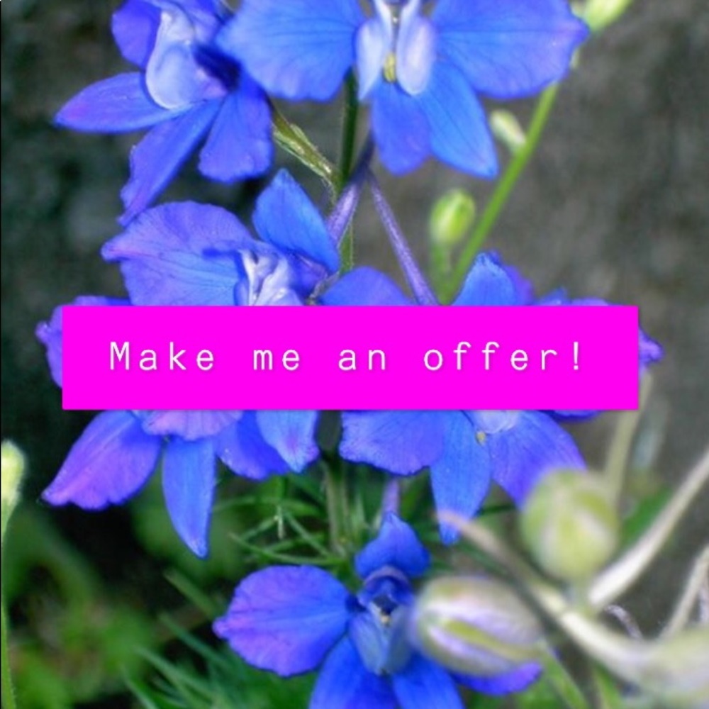 Offers are welcome, make one!
